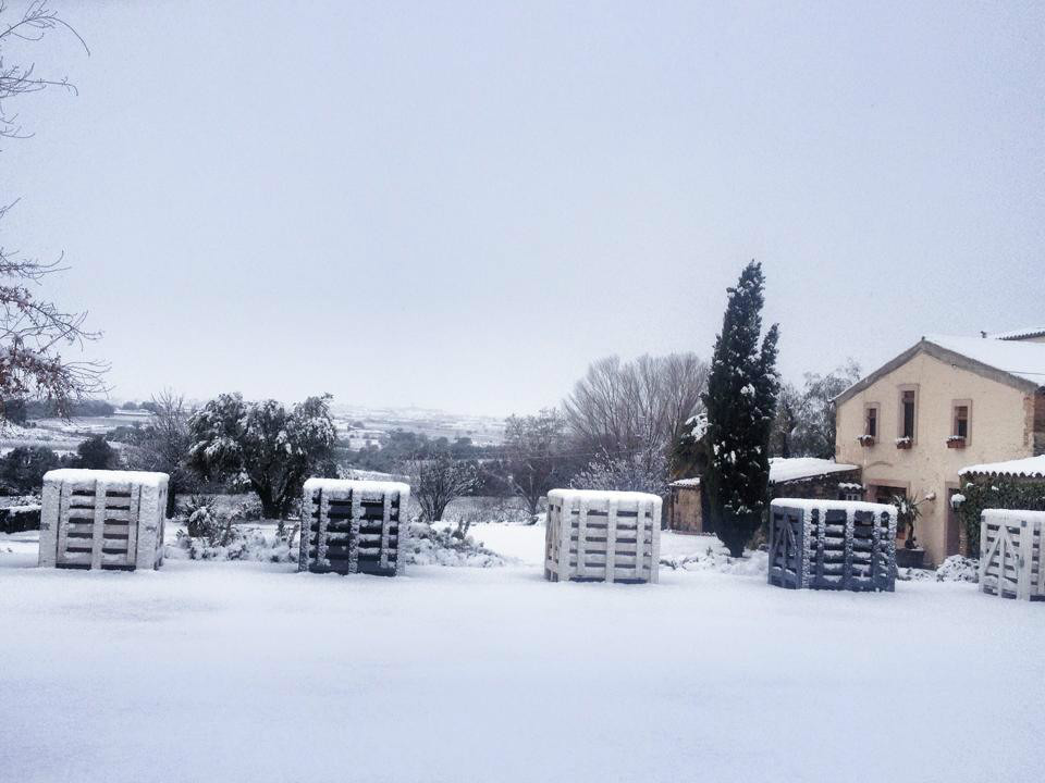 Som Rurals - SR - 514 | Alt Penedès