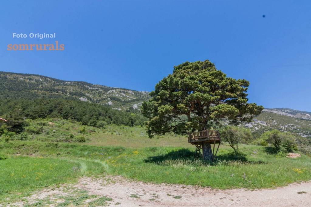Som Rurals - SR - 521 | Solsonès
