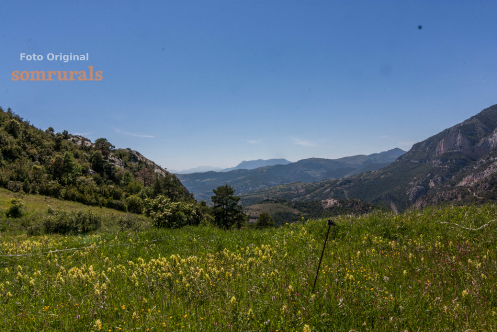 Som Rurals - SR - 523 | Solsonès