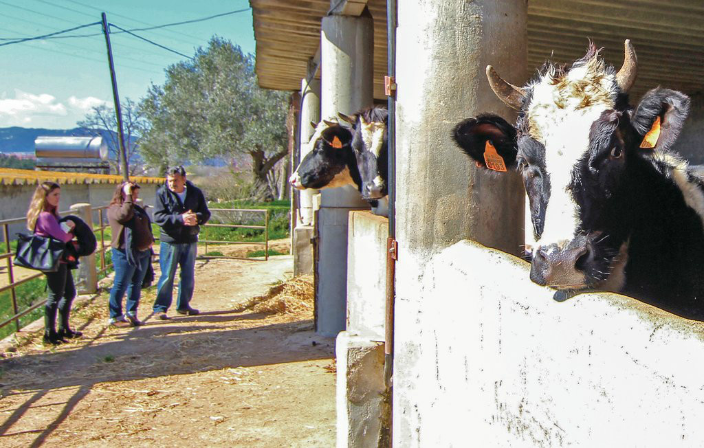 Som Rurals - SR - 537 | Maresme