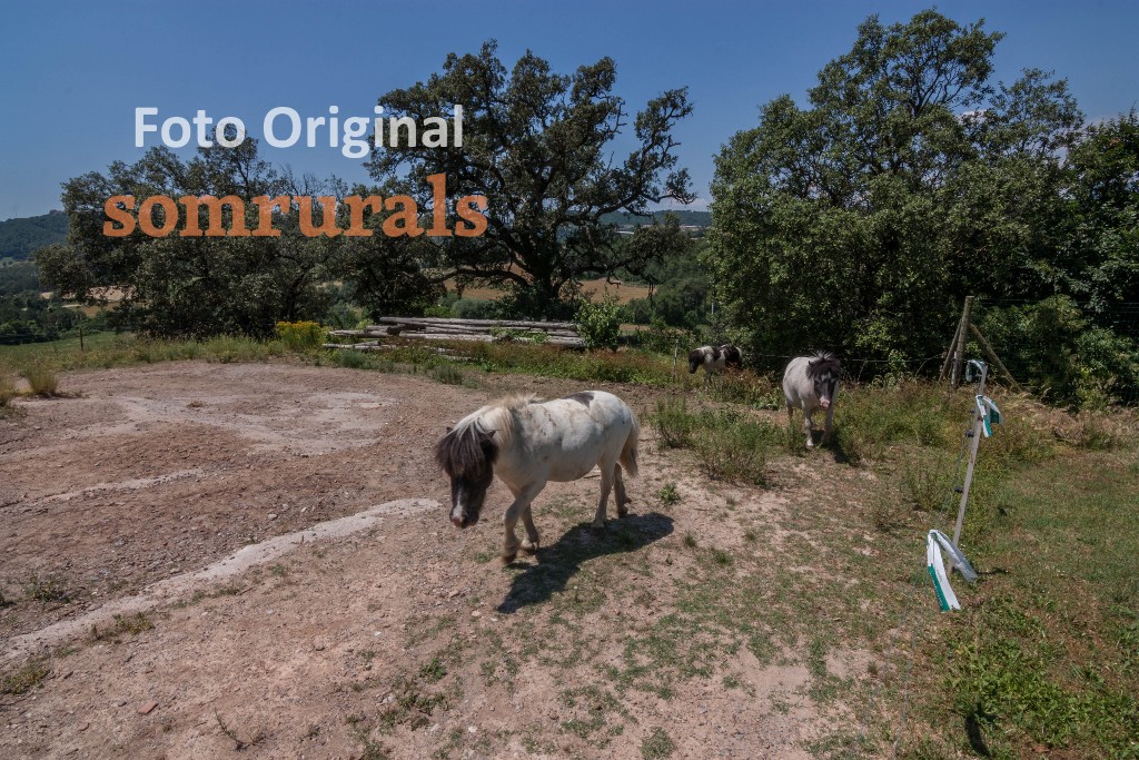 Som Rurals - SR-561 | Berguedà