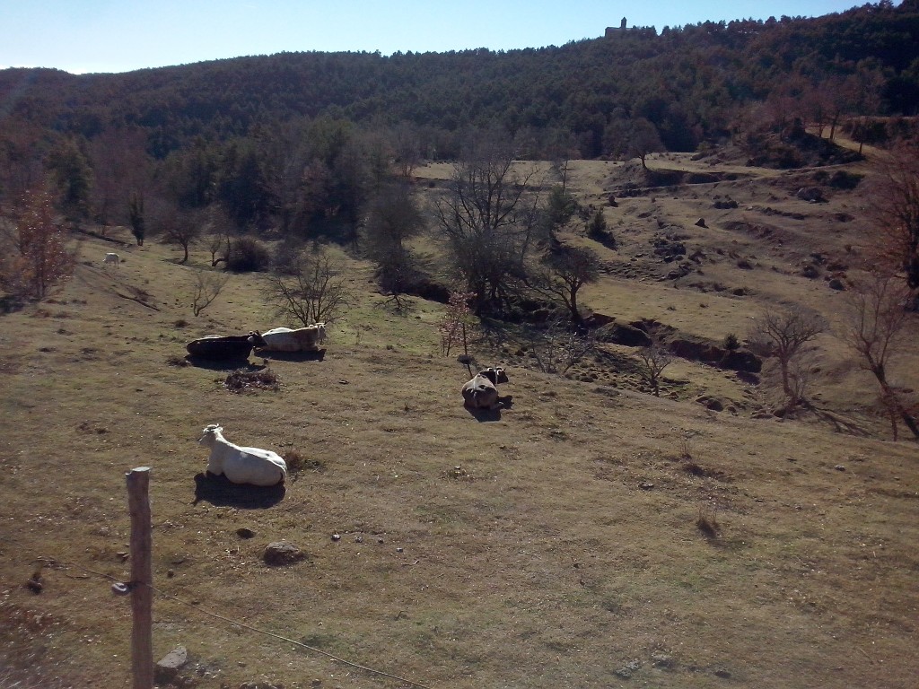 Som Rurals - SR-569 | Berguedà