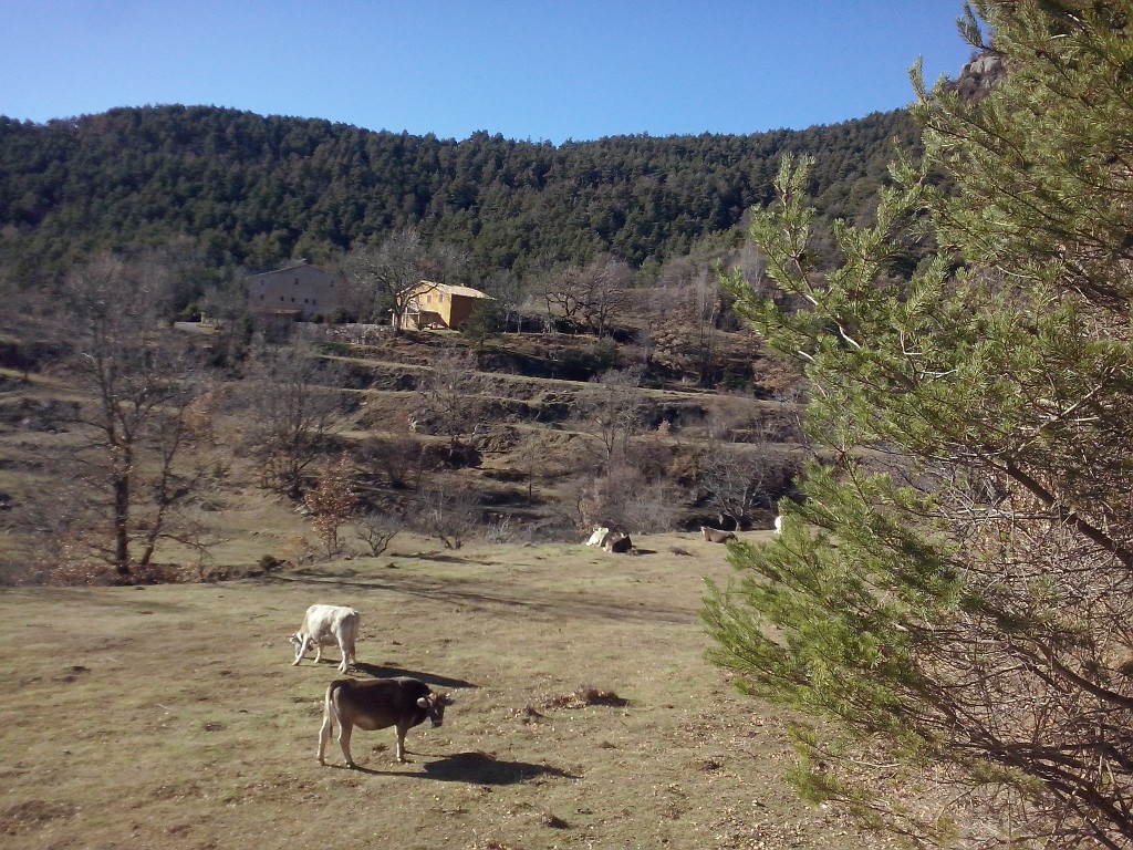 Som Rurals - SR-569 | Berguedà
