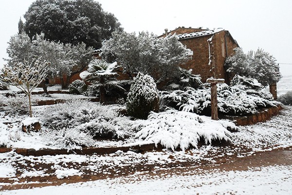 Som Rurals - SR-570 | Segarra