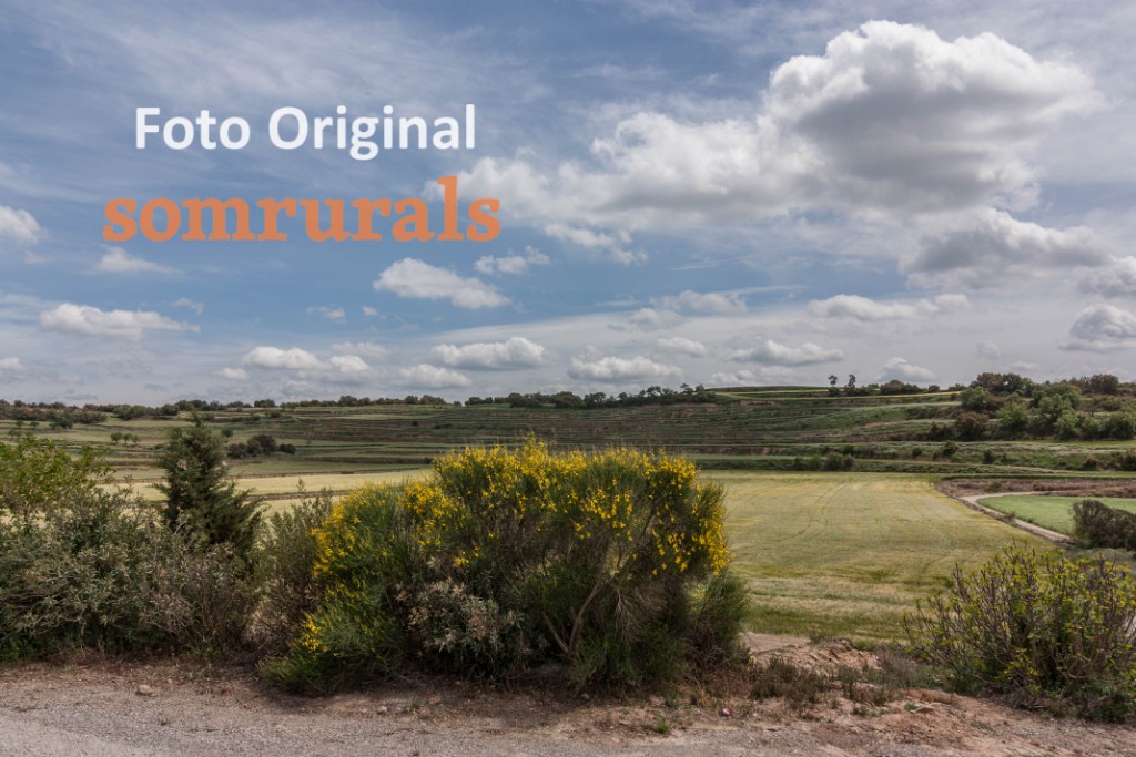 Som Rurals - SR-570 | Segarra