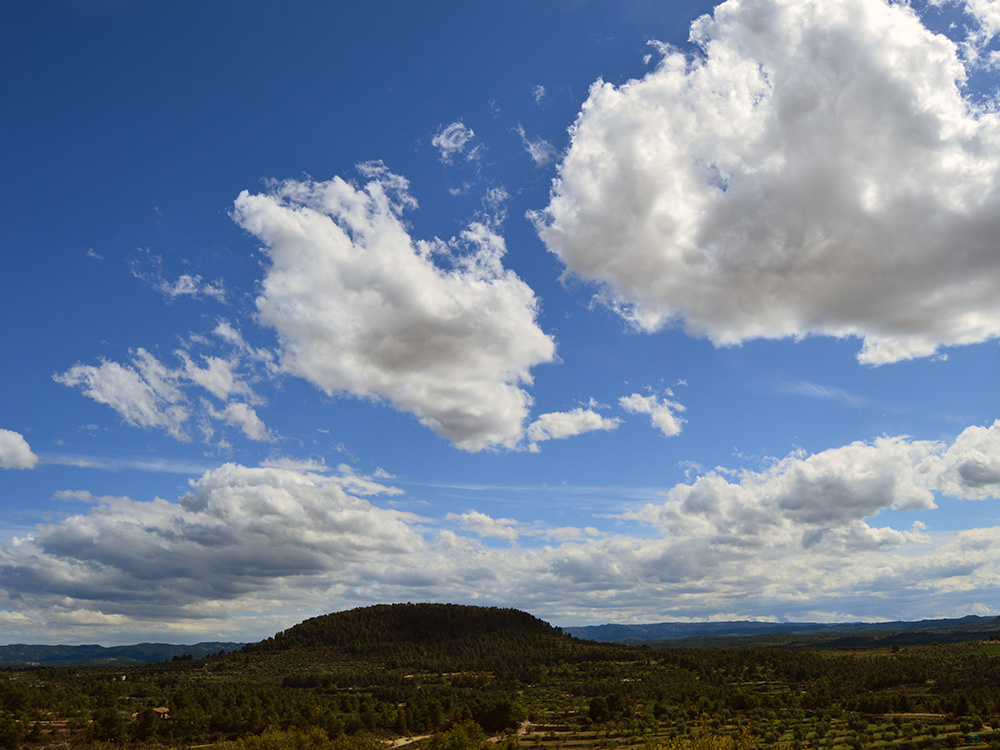 Som Rurals - SR-572 | Garrigues