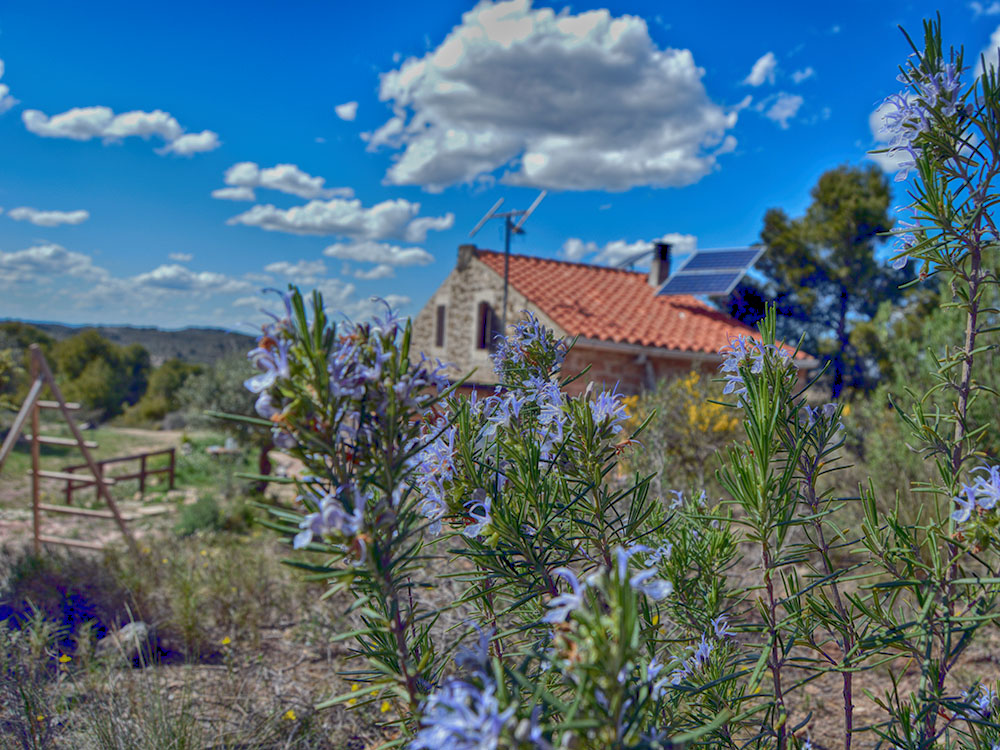 Som Rurals - SR-572 | Garrigues