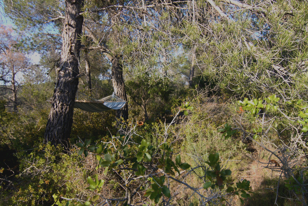 Som Rurals - SR-572 | Garrigues
