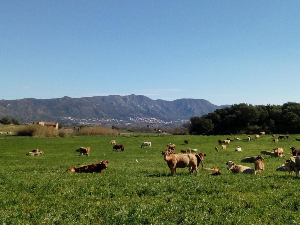 Som Rurals - SR - 573 | Alt Empordà