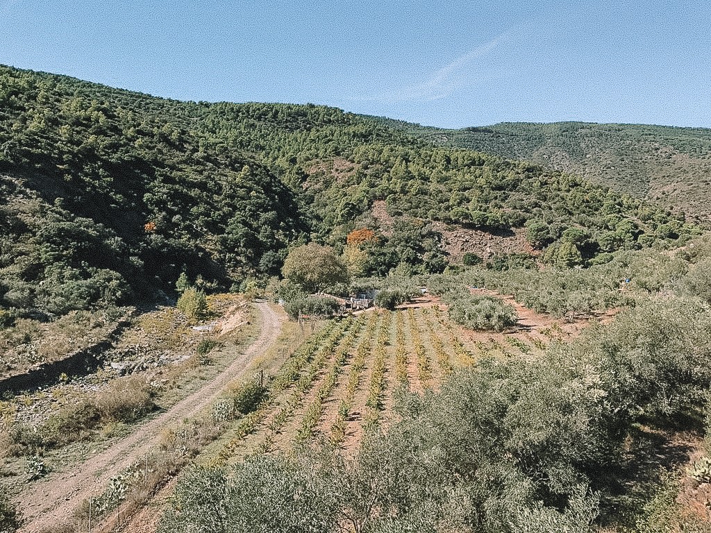 Som Rurals - SR-576 | Alt Empordà