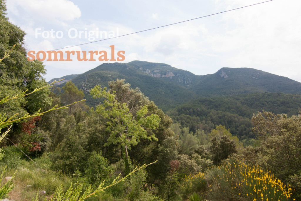 Som Rurals - SR-584 | Garrotxa