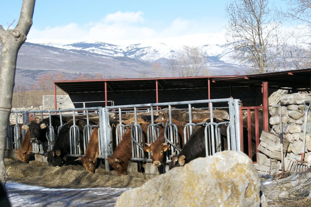 Som Rurals - SR-591 | Cerdanya