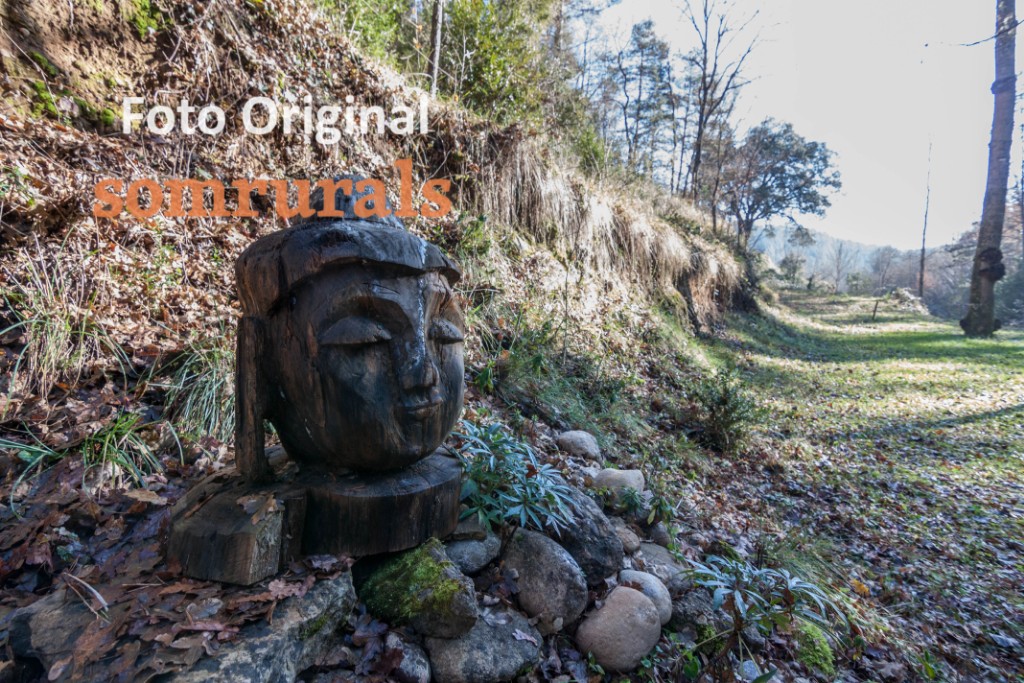 Som Rurals - SR-605 | Berguedà