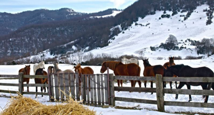 Som Rurals - SR-607 | Garrotxa
