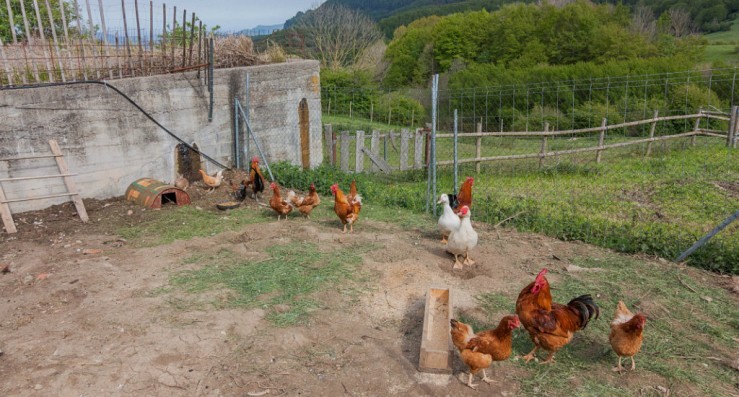 Som Rurals - SR-607 | Garrotxa