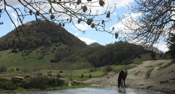 Som Rurals - SR-607 | Garrotxa
