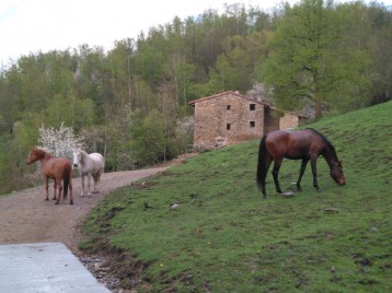 Som Rurals - SR-608 | Ripollès