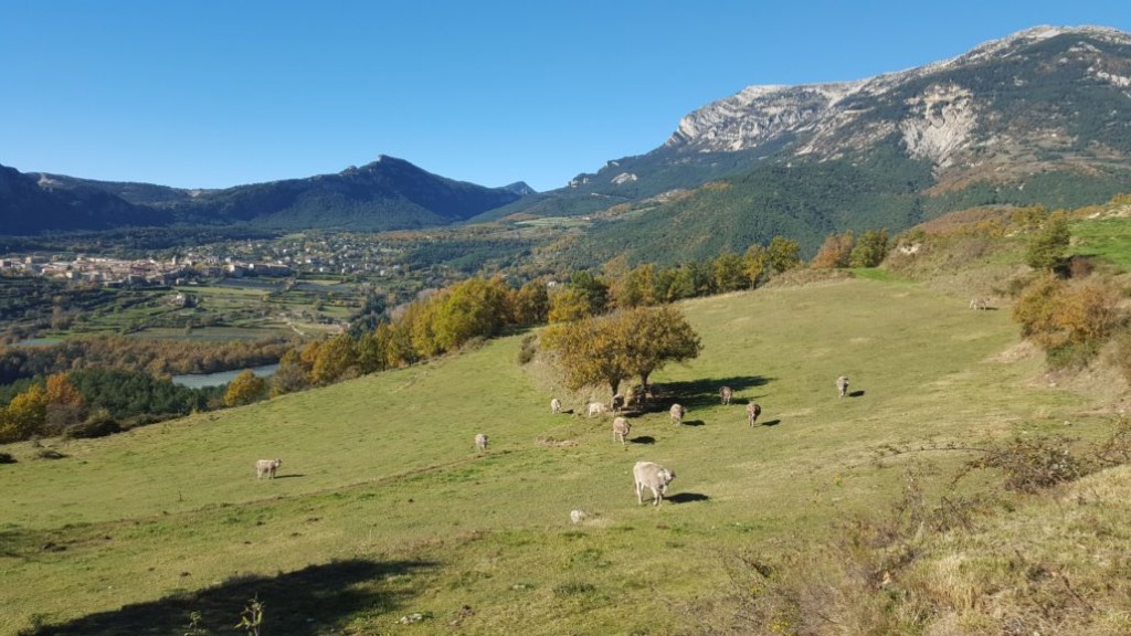 Som Rurals - SR-609 | Solsonès
