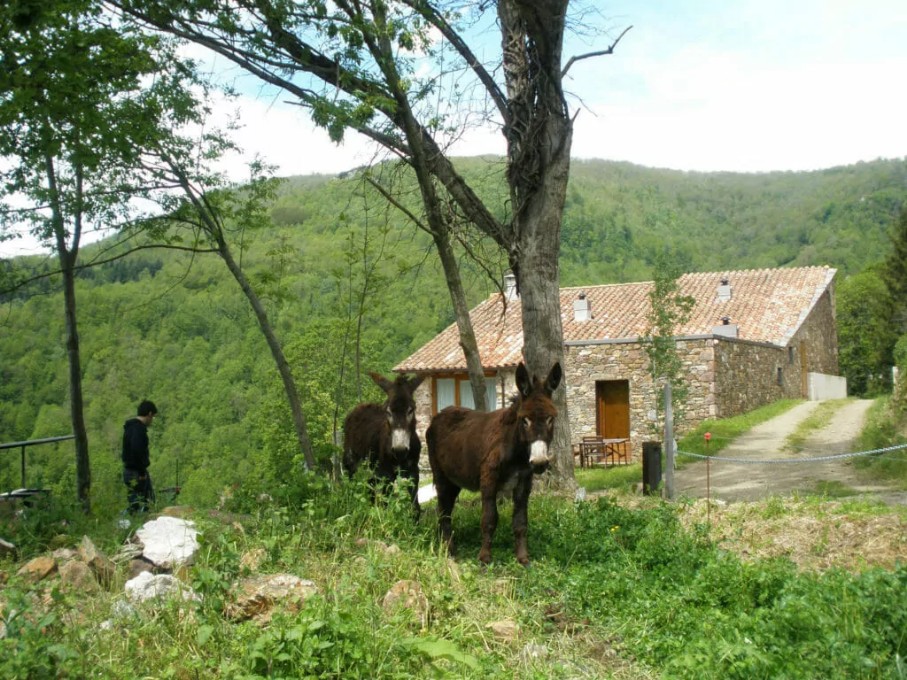 Som Rurals - SR-615 | Ripollès