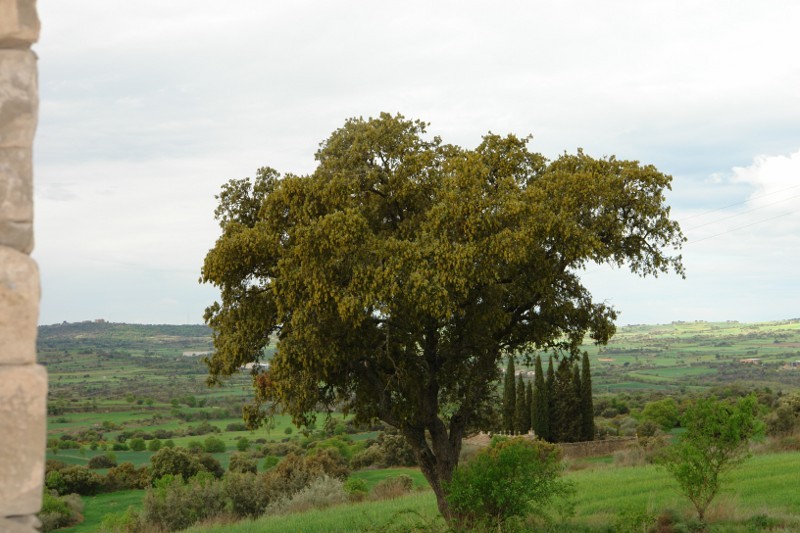 Som Rurals - SR-631 | Noguera