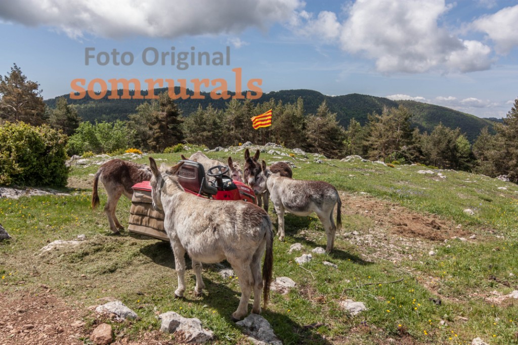 Som Rurals - SR-663 | Berguedà
