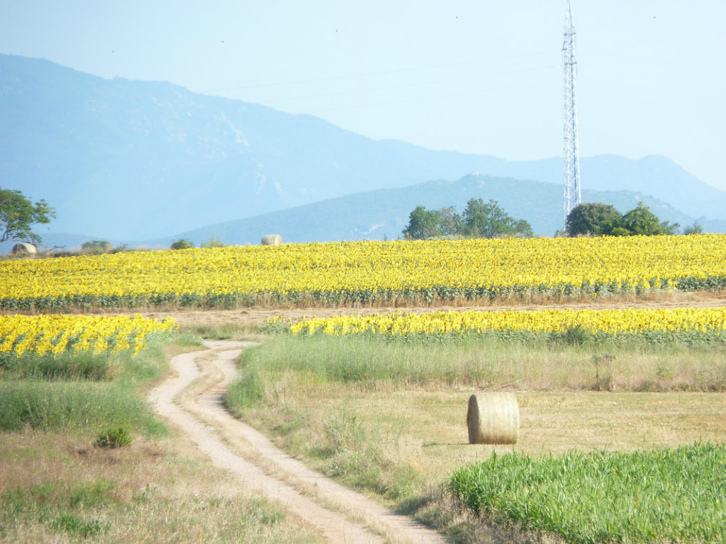 Som Rurals - SR-71 | Alt Empordà